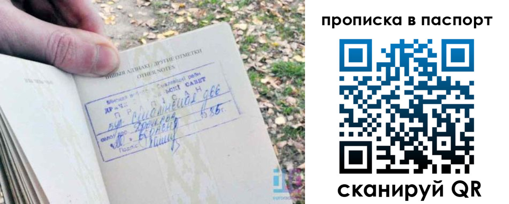 временная регистрация собственник в Ясном